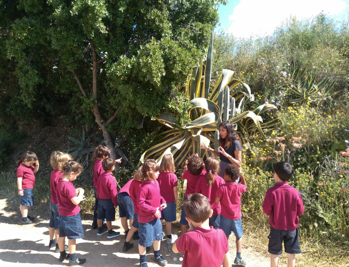 YEAR 1 (LA GARRIGA)