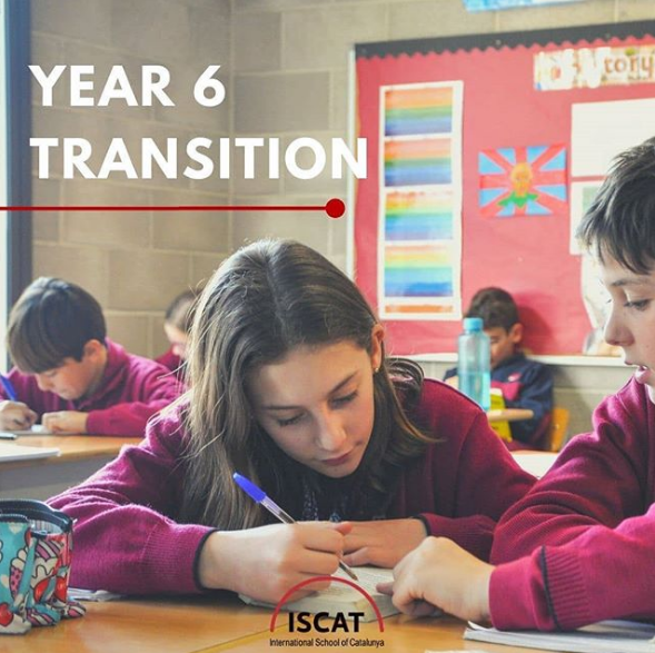 Year 6 transition