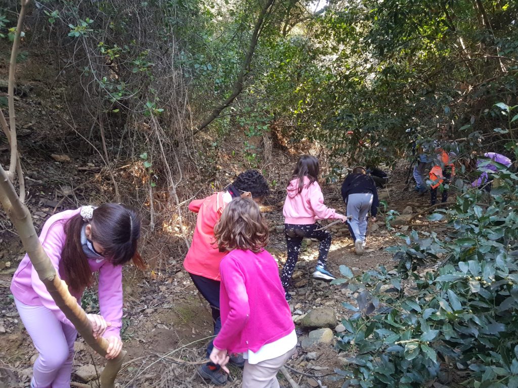 Forest-school-session-ISCAT-Year4