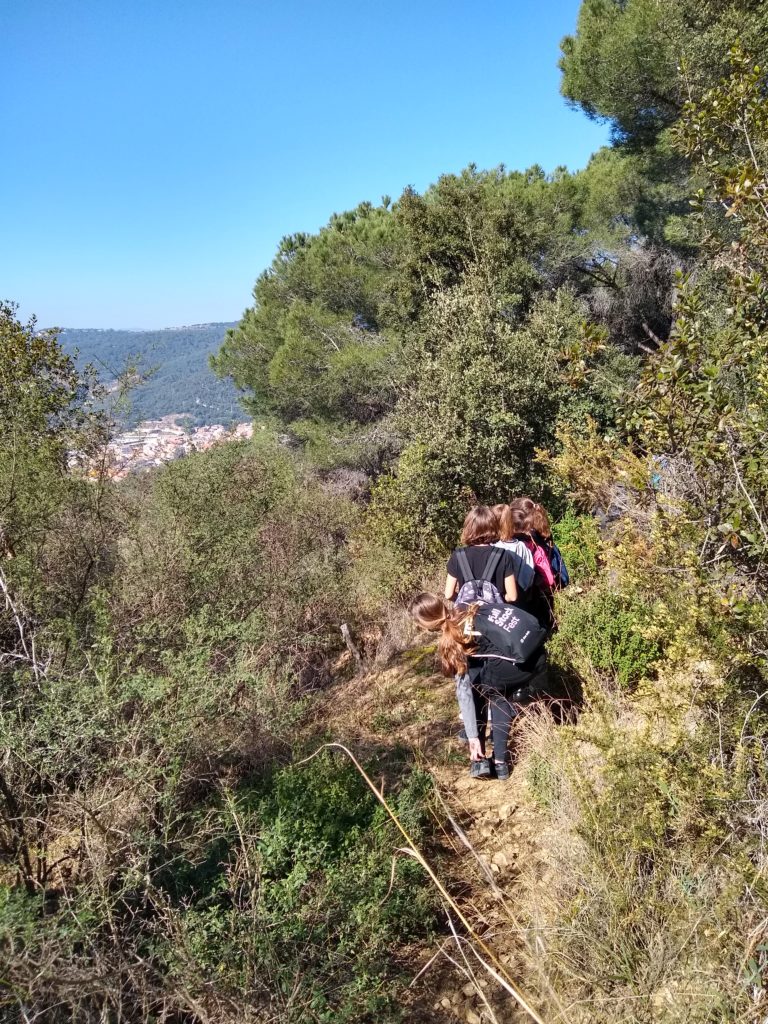 forest-school-programme-ISCAT