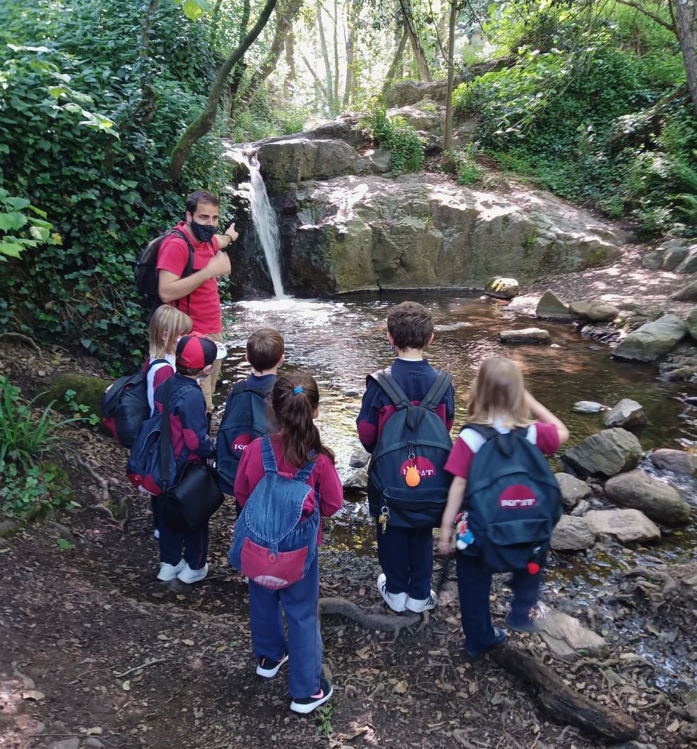 Excursion “The forest in spring” Early Years & KS1