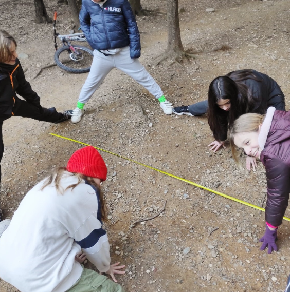 MATHS IN THE WOODS-Y7