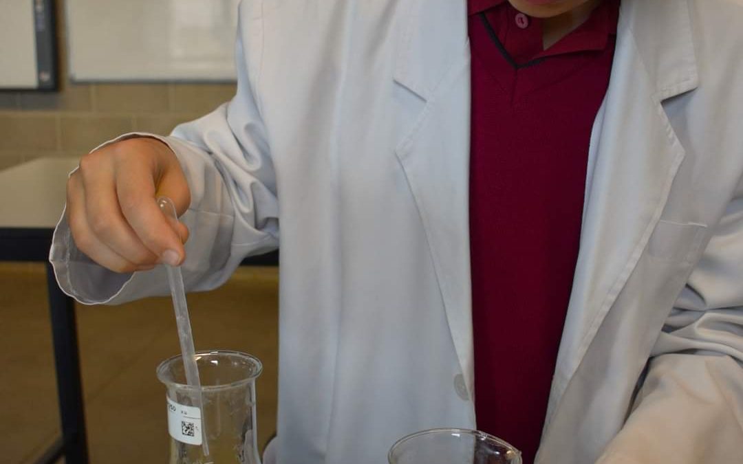 👩‍🔬 Year 7 scientists hard at work! 👨‍🔬