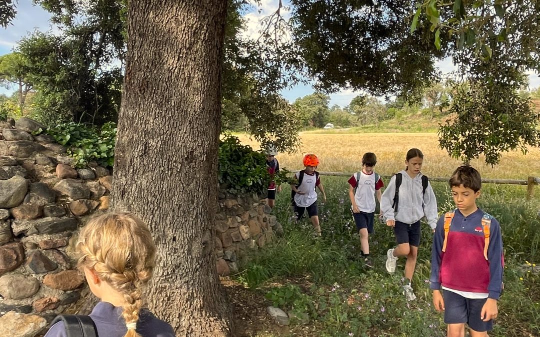 Year 6 visit to Rosanes Airfield