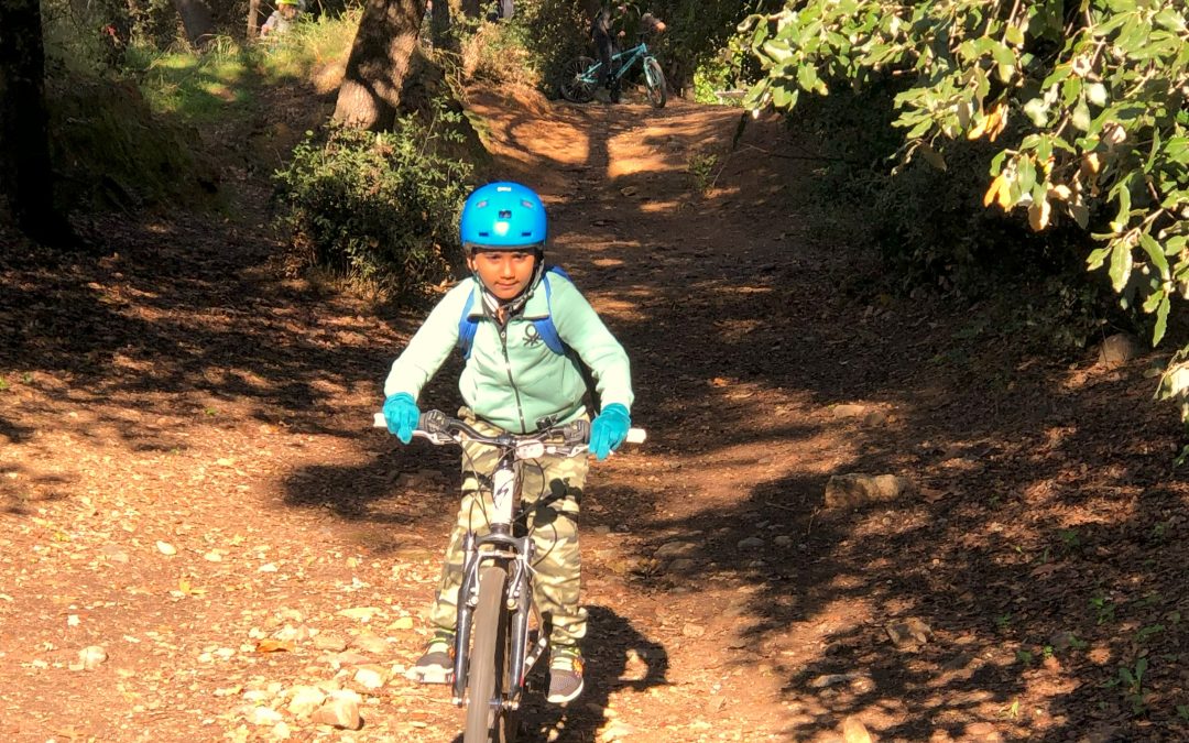 🚴‍♂️🌲 Biking Fun in the Forest! 🌲🚴‍♀️